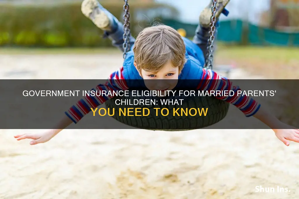 do my children qualify to government insurance if i