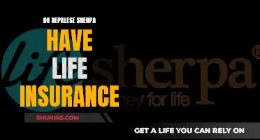 Life Insurance for Sherpas: A Matter of Survival?