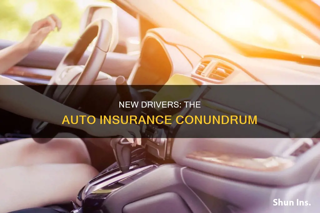 do new drivers have higher auto insurance