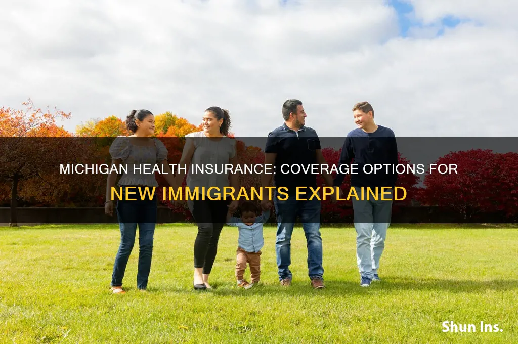 do new immigrants have health insurance michigan