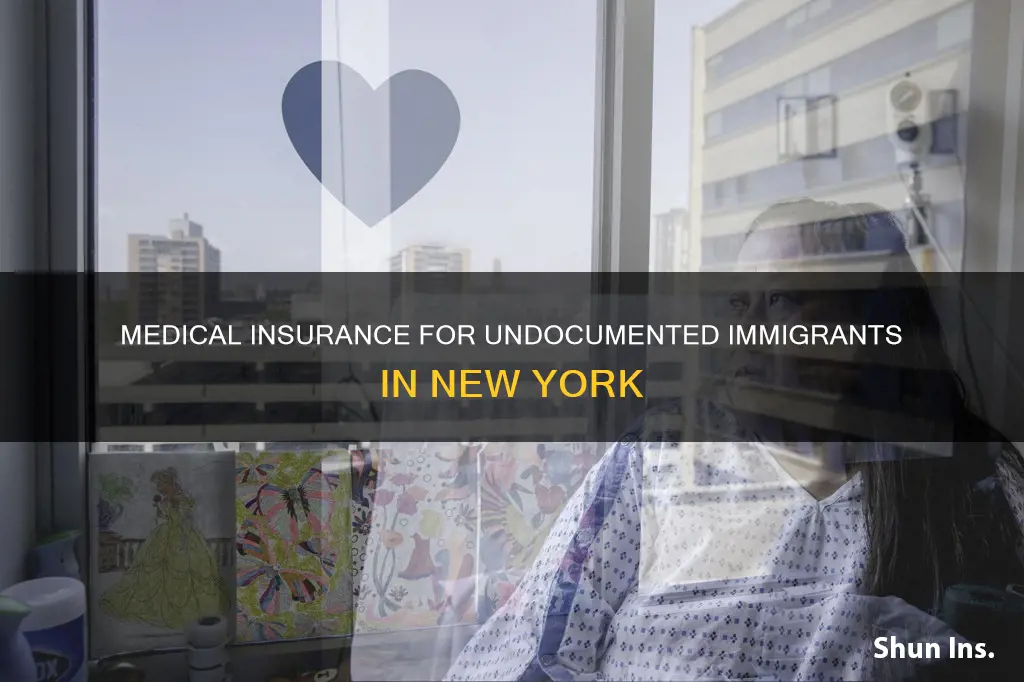 do new york have medical insurance to undocumented immigrants