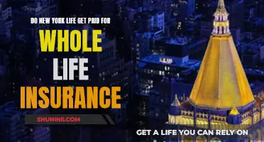 New York Life: Whole Life Insurance Payouts Explained