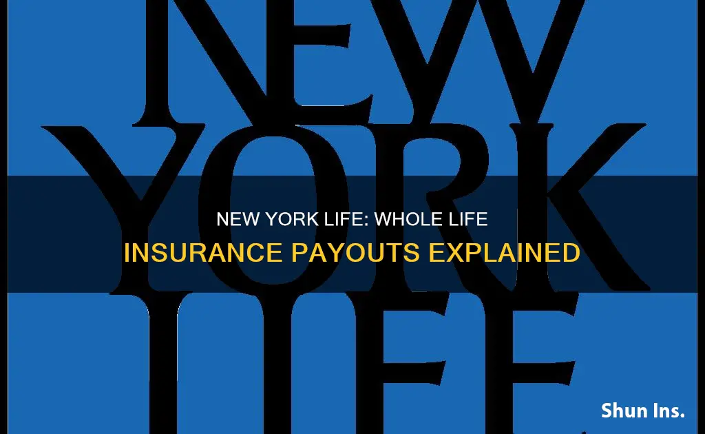 do new york life get paid for whole life insurance