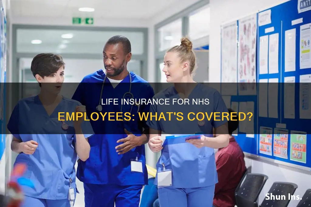 do nhs employees get life insurance