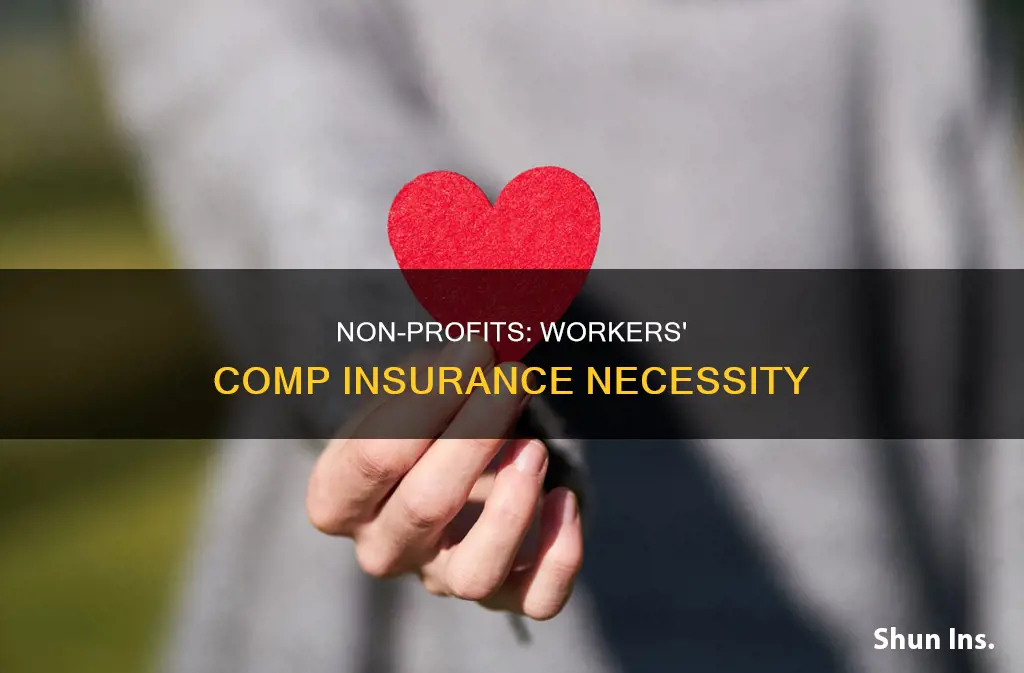 do non profits carry workmans comp insurance