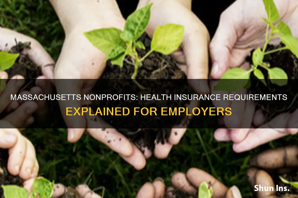 do nonprofits have to provide health insurance in massachusetts