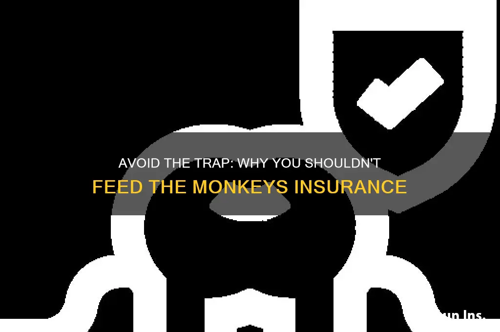 do not feed the monkeys insurance