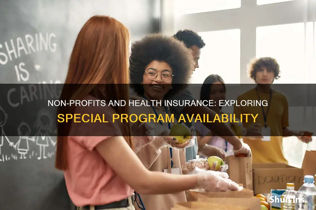 do not for profit have a special health insurance programs