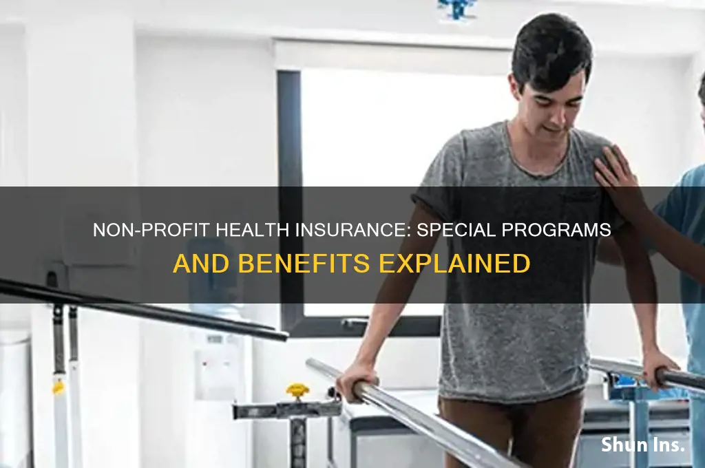 do not for profit have a special helath insurance programs