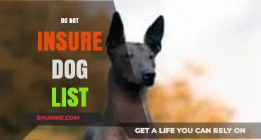Breeds to Avoid: The Do Not Insure Dog List Explained