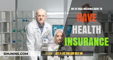 O1 Visa Health Insurance: Requirements and Coverage Explained