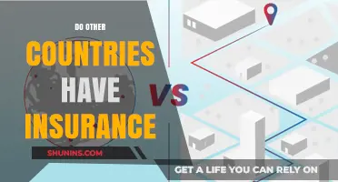 Global Insurance Coverage: Exploring Policies Beyond U.S. Borders