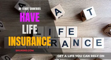 Life Insurance: A Global Perspective on Coverage