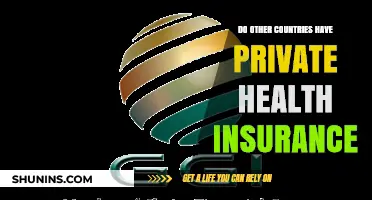 Exploring Global Healthcare: Do Other Countries Offer Private Insurance?