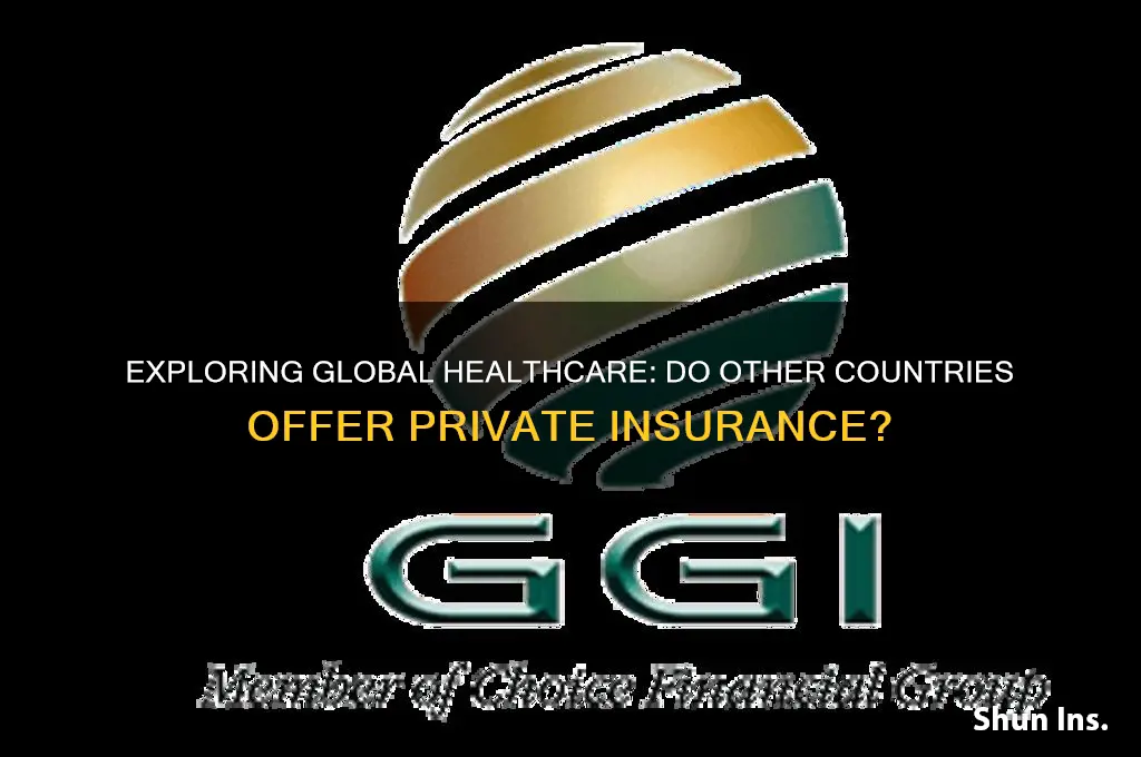 do other countries have private health insurance