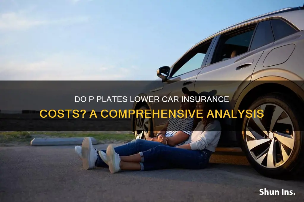 do p plates reduce insurance