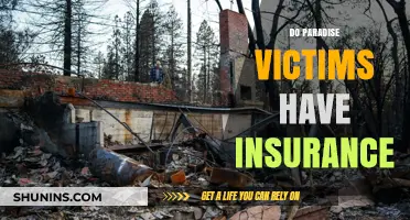 Paradise Victims: Insurance Coverage and Recovery After Devastating Wildfires