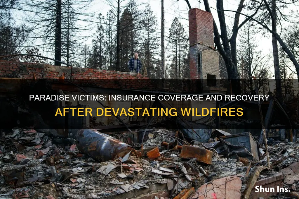 do paradise victims have insurance