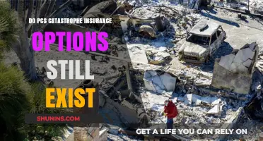 Do PCs Catastrophe Insurance Options Still Exist? Exploring Coverage