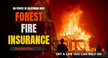 California Wildfires: Insured or Not?