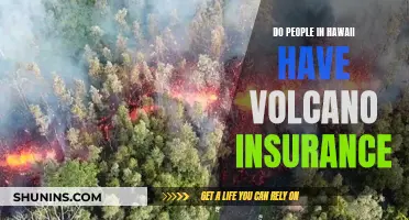 Hawaii's Volcano Insurance: What's Covered?