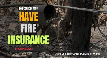 Maui's Fire Insurance: Prepared for the Worst