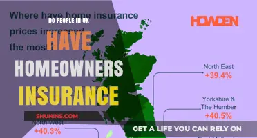 Home Insurance in the UK: Who Needs It?