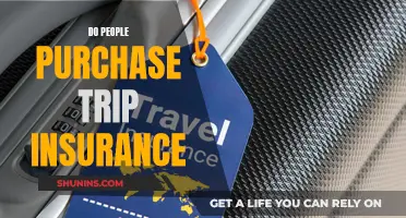 Trip Insurance: Worth the Cost?