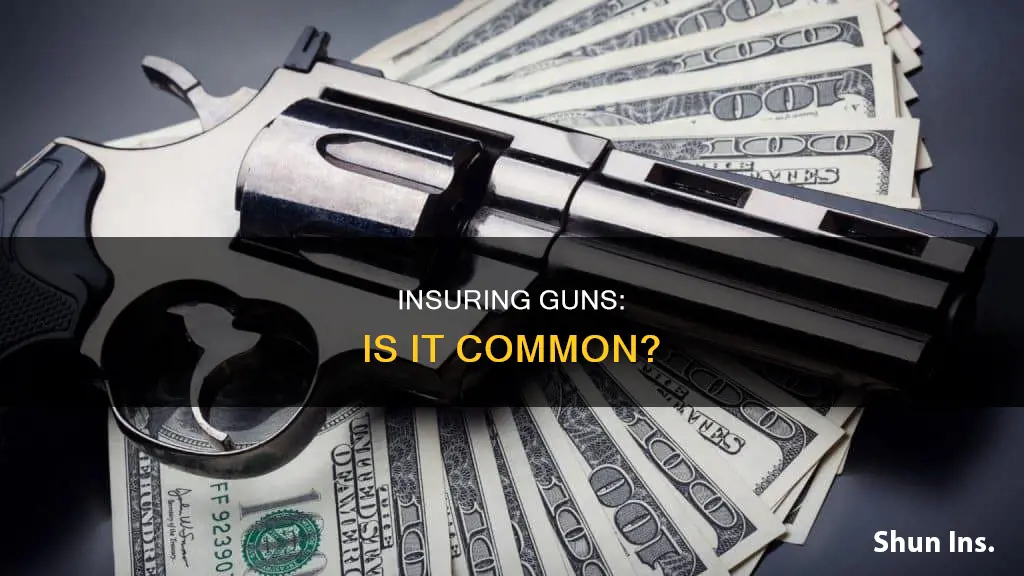 do people usually insure their guns