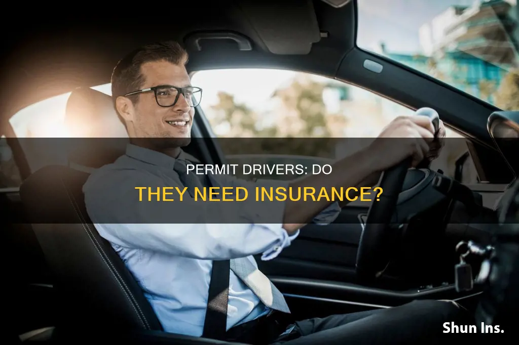 do people with driving permitsneed insurance