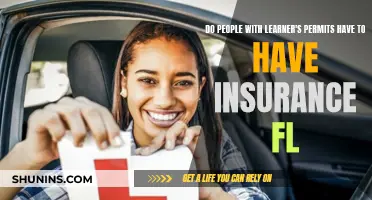 Learner's Permit Insurance Requirements in Florida