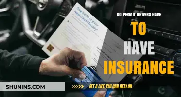Do Permit Drivers Need Insurance? Understanding Legal Requirements for New Drivers
