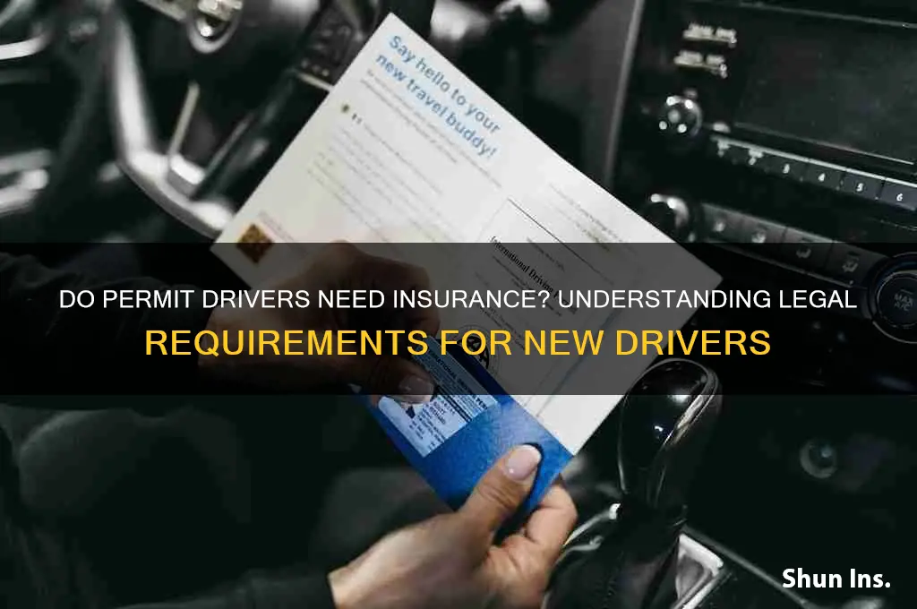 do permit drivers have to have insurance