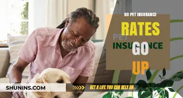 Pet Insurance Rates: What You Need to Know