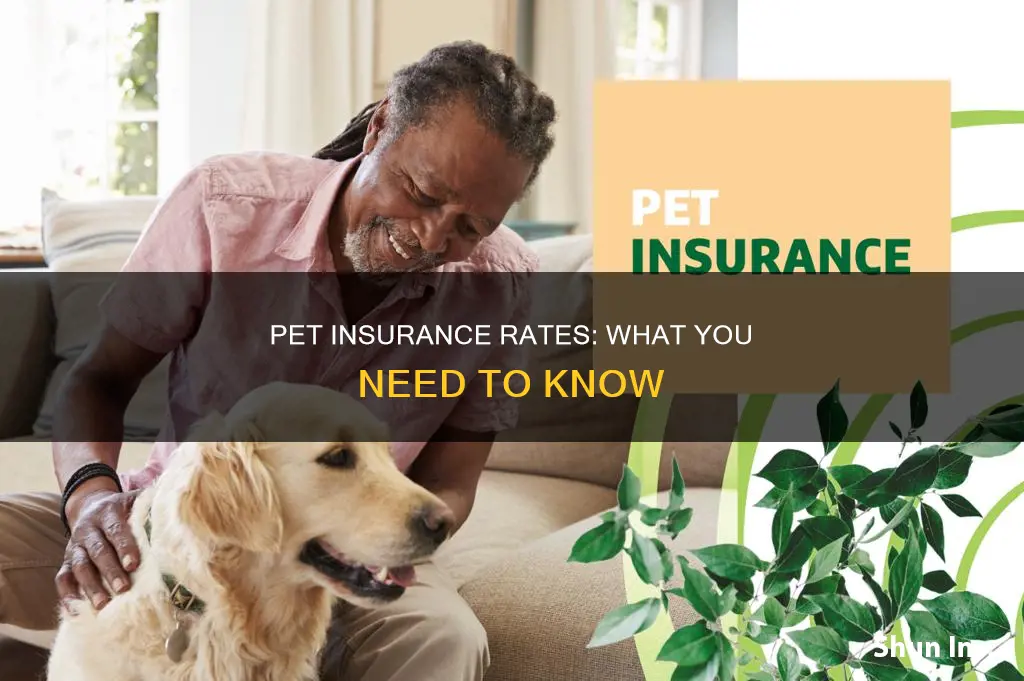 do pet insurance rates go up