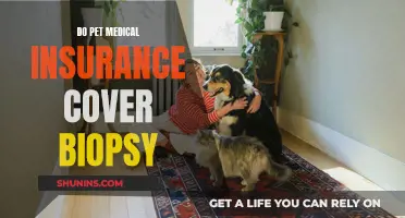 Pet Medical Insurance: Biopsy Coverage and Your Options