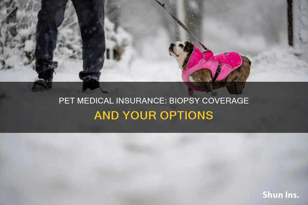 do pet medical insurance cover biopsy