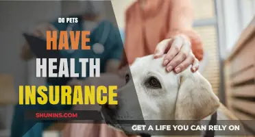 Do Pets Need Health Insurance? Exploring Coverage Options for Your Furry Friends