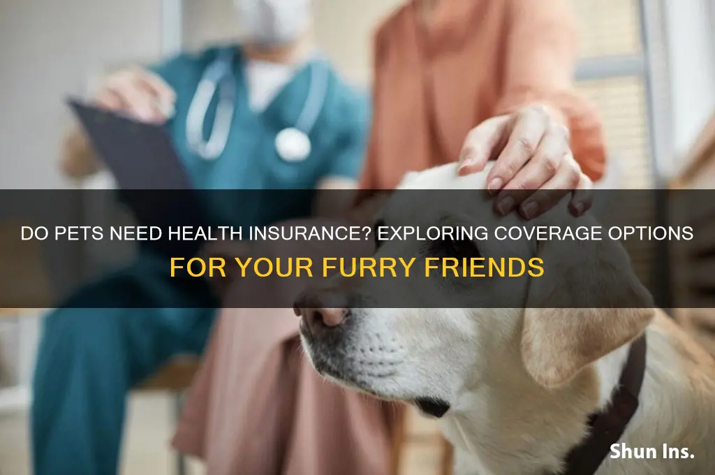 do pets have health insurance