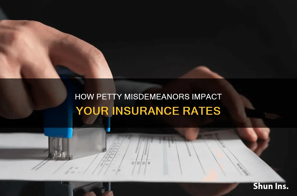 do petty misdemeanors affect insurance