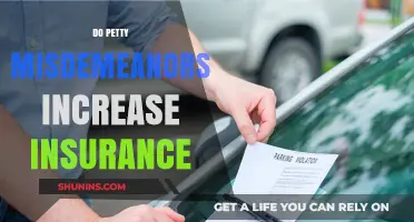 Petty Misdemeanors and Insurance: How Minor Offenses Impact Your Rates