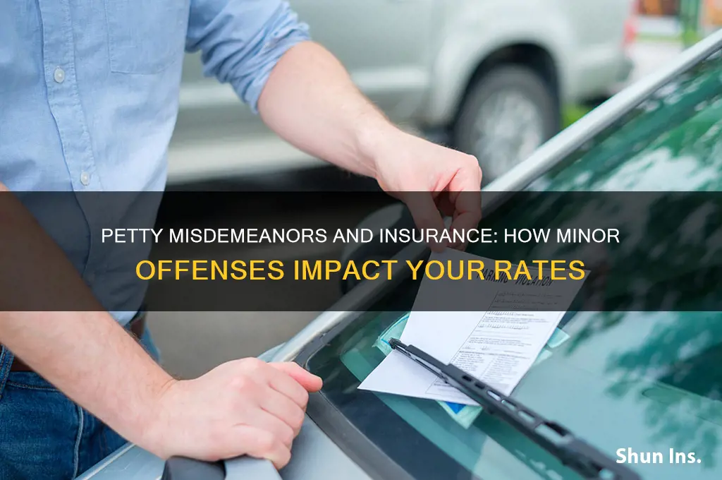 do petty misdemeanors increase insurance