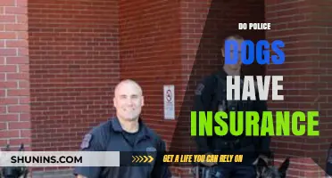 Police Dogs and Insurance: Do K9 Officers Have Coverage?