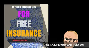 Illinois Free Insurance: Eligibility for Low-Income Residents Explained