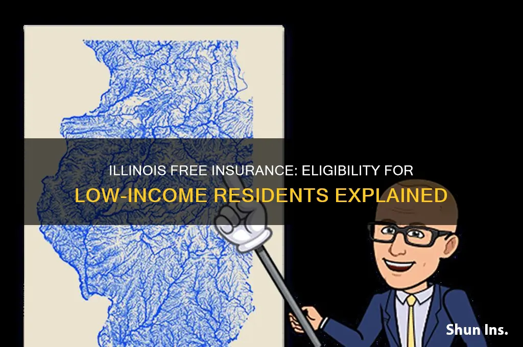 do poor in illinois qualify for free insurance