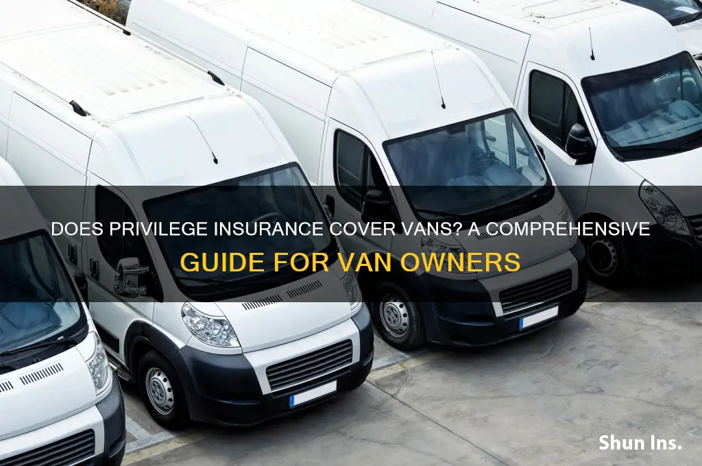do privilege insure vans
