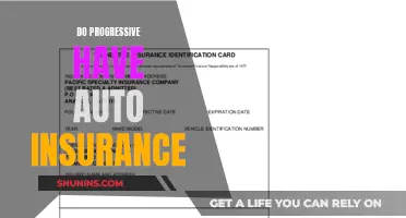 Progressive Auto Insurance: Everything You Need to Know