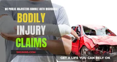 Auto Insurance Bodily Injury Claims: The Role of Public Adjusters