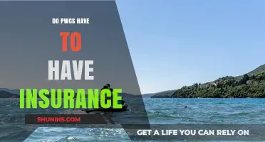 Do PWCs Require Insurance? Understanding Legal Requirements for Watercraft Owners