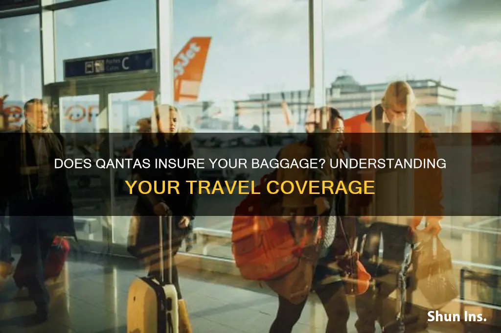 do qantas insure your baggage